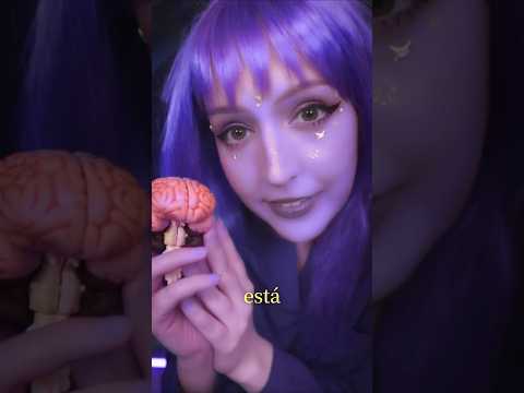 ⭐Tus dos neuronas están fritas por los memes🧠 Limpiando tu Cerebro