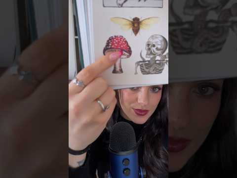 ASMR avec un livre de STICKERS 😍