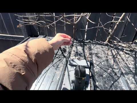 Outdoor tapping ASMR! ☀️ Triggers w/The Yeti! 