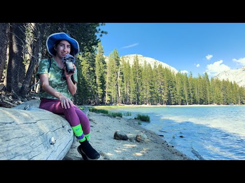 ASMR In Yosemite
