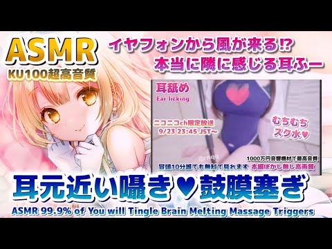 🔴[ASMR] 耳●め概要↓ゼロ距離囁き、お耳をゾクゾクさせる耳ふー、鼓膜を塞ぐ。Ear Massage, Ear Blowing, Brain Tingling【後半ニコニコ