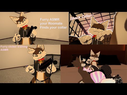 The Dog Collection
