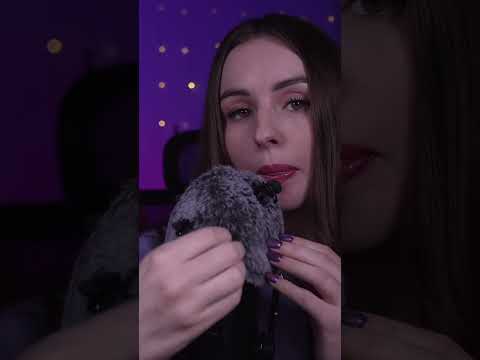 ASMR Searching for Bugs #asmr #sleep #feather