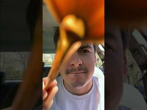 Face brushing #asmr #visualasmr #upcloseasmr #facebrushing #carasmr #raeasmr #asmrshorts #relaxing