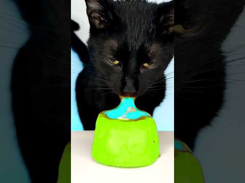 ASMR Mukbang 💙 Cat Eating Blue