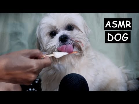 O ASMR MAIS FOFO QUE VOCÊ VAI VER