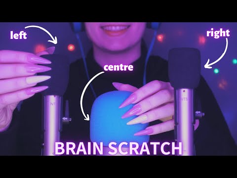 Asmr Mic Scratching - Brain Scratching | Hypnotic Asmr No Talking for Sleep with Long Nails 1H