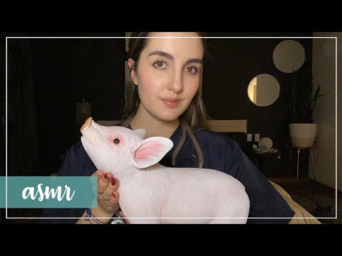 ASMR en español - Soy la VETERINARIA de tu MINI PIG!