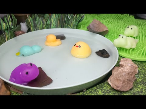 pond rescue and release role play ASMR mochi popping