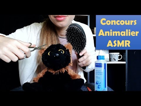 [ASMR français] Je toilette Dodo pour le concours animalier - Brossage, Roleplay