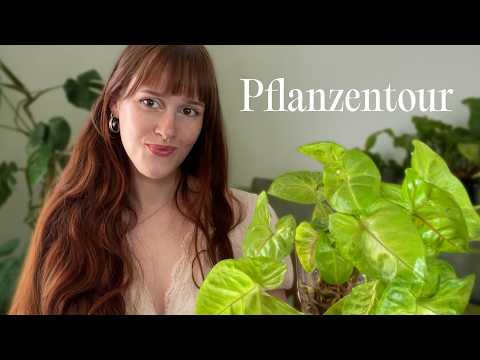 Geflüsterte Pflanzentour 🌿 Show and Tell ASMR