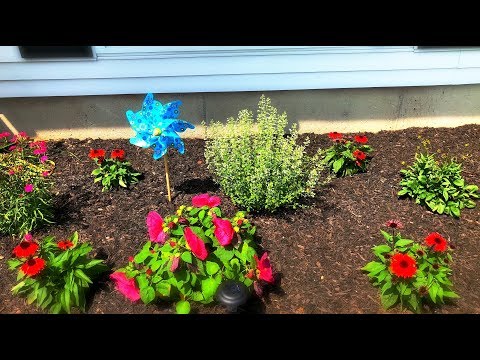 ASMR| My Garden Tour - Lets Learn About Some Flowers