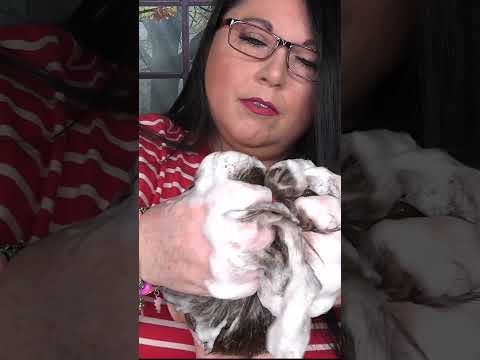 ASMR Shampoo and Hair Wash (NO TALKING) #shorts