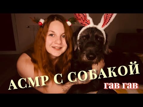 АСМР с собакой | Новогодний привет от Сириуса 🐶