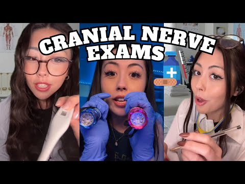 Extreme Fast & Aggressive ASMR Cranial Nerve Exam Compilation 🩺👩🏻‍⚕️ | Intense Tingles✨