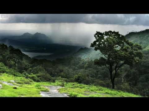 Rain Sounds for Sleeping (9 hours) - Japanese Summer Storm