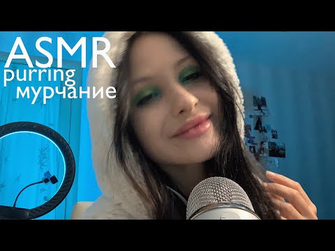 АСМР МУРЧАНИЕ//ASMR PURRING