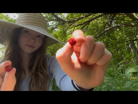 ASMR in the middle of nowhere 🍄🌿🫐