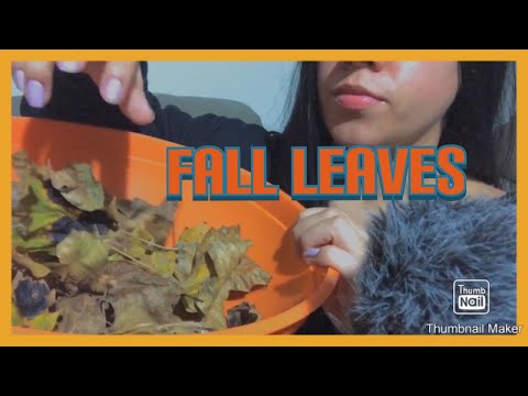 FALL ASMR  || Playing with leaves *crunching sounds*
