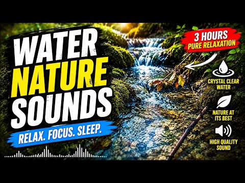 Relaxing Water nature Sounds Sleep in 5Minutes