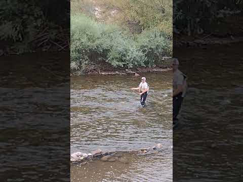 FLY FISHING IN THE RIVER#shortsfeed #fishing #river #mountains #denver #colorado #america