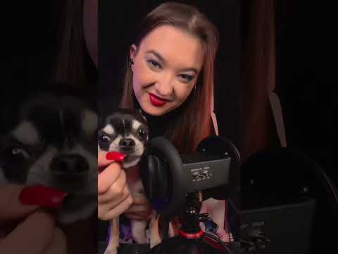 ASMR Z PSEM🤯🥰😍Relaksuje Cię któryś dźwięk :)?