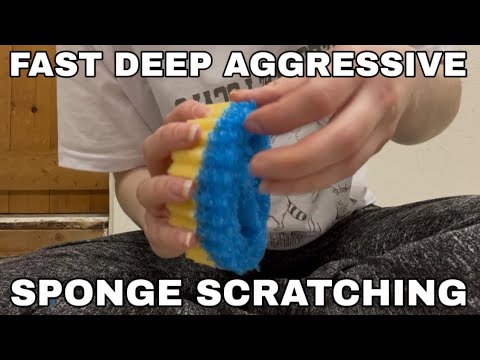 ASMR | Scrub Daddy Scratching Destruction | Fast and Aggressive | Lofi | No Talking