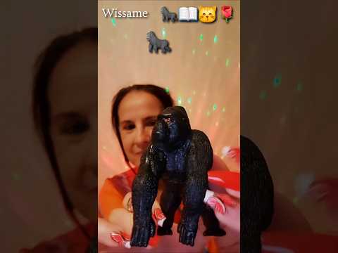 Emoji challenge pour "Wissame"