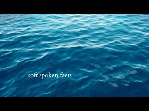 100 facts about the Deep Sea put you to sleep 💕💤 ASMR