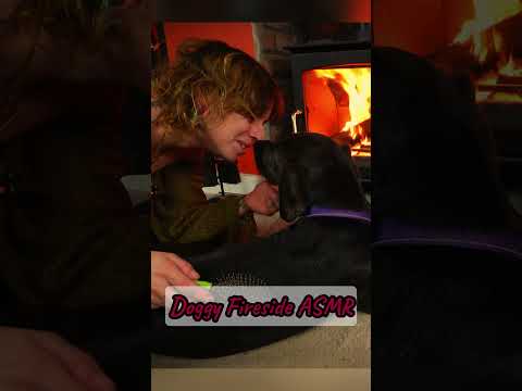 Relaxing with my dog next to the fire ASMR #firesideasmr #dog #doggycuddles #asmr #shorts #fire