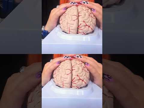 ASMR Brain Massage | Relaxing 3D Sounds for Mind Healing & Deep Focused #shortvideo #shorts