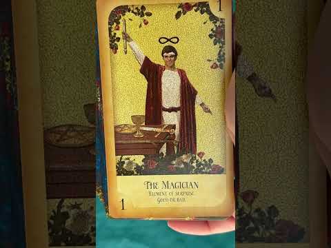 Daily Tarot Card #tarotreading