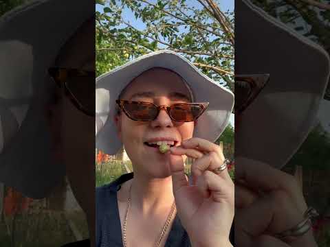 #asmr #asmrturkey #asmrvlog #bayramvlogu #asmrsounds #asmrrelax  #relaxingvideo #vlogturkiye