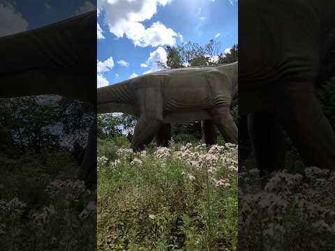 #dinosaur #jurassicpark #safari #denmark