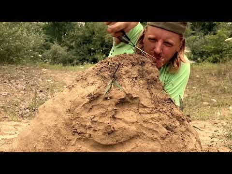 ASMR | How Barbers Cut Dirt | Supercut