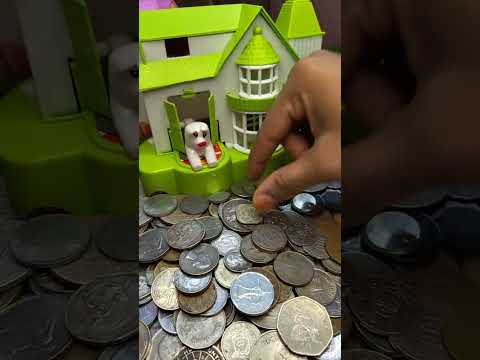 🐶 LIVE ASMR | Puppy Piggy Bank 🐷 + Dog House🏠 | Super Relaxing Sleep Sounds😴 | #asmr #live #trending