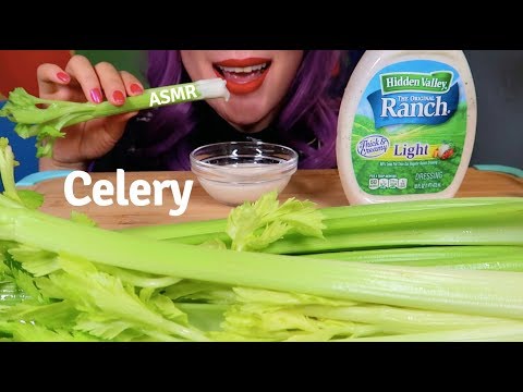 SMR CELERY Extreme Crunch EATING SOUND | 샐러리 리얼사운드 먹방 セロリ |CURIE.ASMR