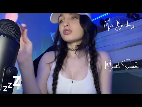 Beebee ASMR Mic Brushing | Mouth Sounds, Personal Attention, Face Brushing, Camera Brushing