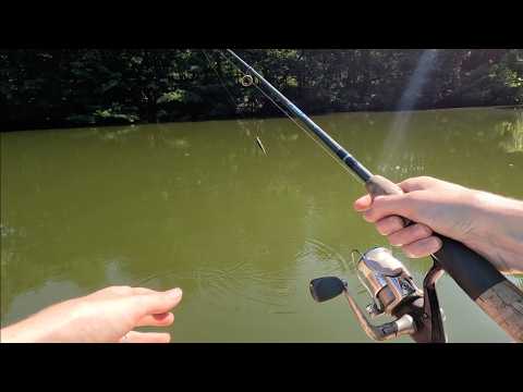 Relaxing private pond fishing oasis | dad's funny comments | nature sounds | ASMR sounds