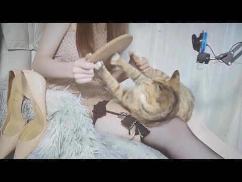 "Sleepy ASMR: Gentle Tapping on Cute Plush Toys