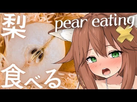 【咀嚼音ASMR】梨食べる🍏おなかの音 pear/eating sound/drinking/whispering/sniff