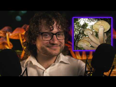 ASMR: The Humongous Fungus, The Largest Organism on Earth | Ear-to-ear Whispering