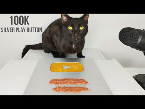 100K SILVER PLAY BUTTON ASMR CAT