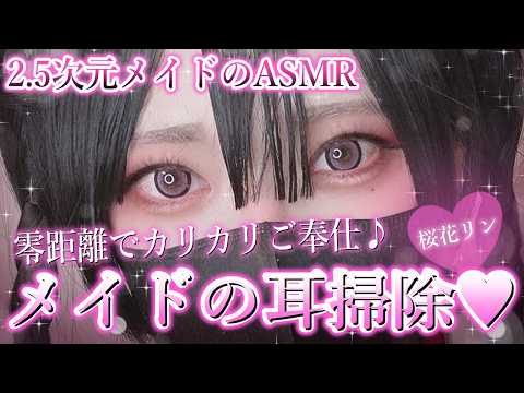 【2.5次元/ASMR】寝たいならココ🍡耳掃除睡眠導入【桜花リン】