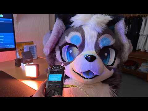 Furry ASMR LIVE!?