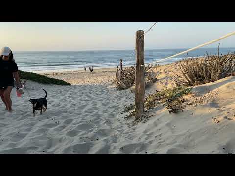 ASMR OCEAN SOUNDS | CALIFORNIA BEACH  SCENESCAPE | NATURE RELAXATION