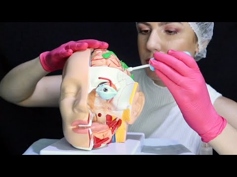 ASMR: cirurgia de emergência no seu cérebro! 🆘 (cirurgia para relaxar) neurocirurgia