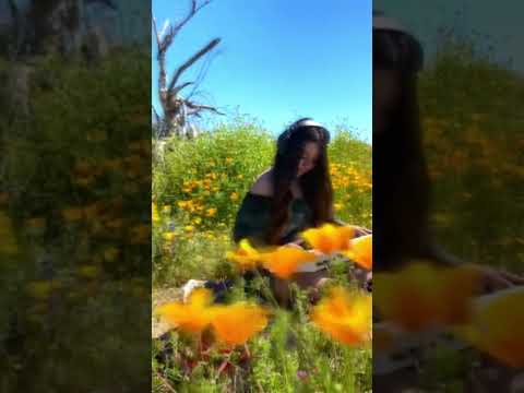 Playing music with the wildflowers. Tuned to 444hz #frequencyhealing #originalmusic #444