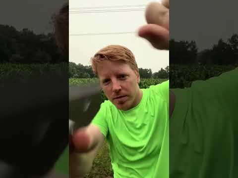 ASMR Haircut in the Rain #asmr