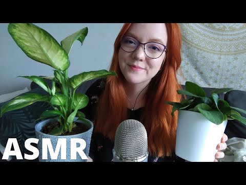 ASMR SUOMI Mun kasvien esittely 🌱